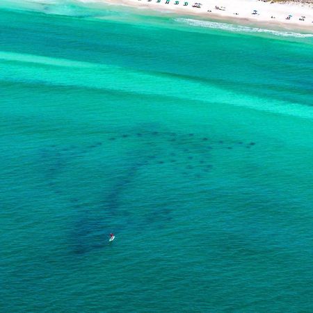 Beach Resort 316 Destin Esterno foto
