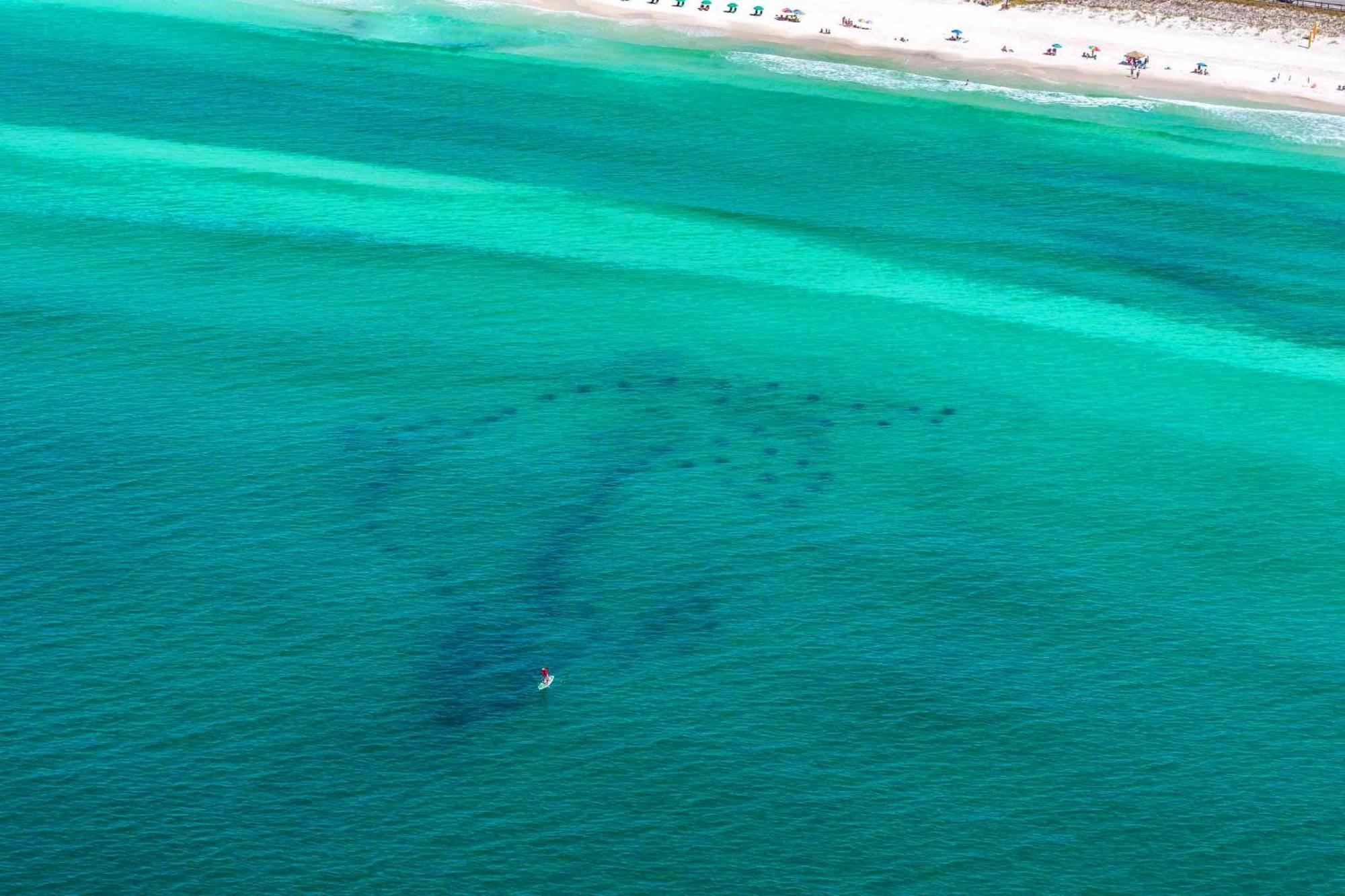 Beach Resort 316 Destin Esterno foto